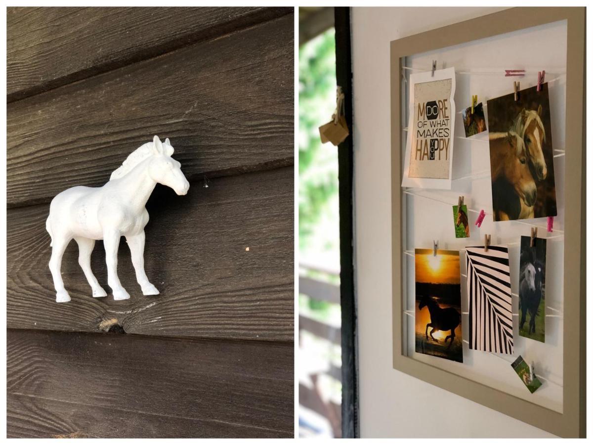 Apartamenty Lajkonik Dąbrówno Extérieur photo