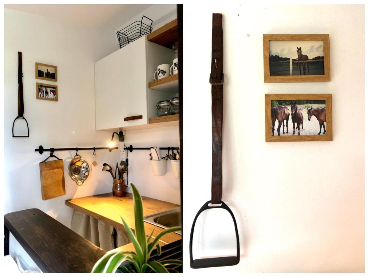 Apartamenty Lajkonik Dąbrówno Extérieur photo