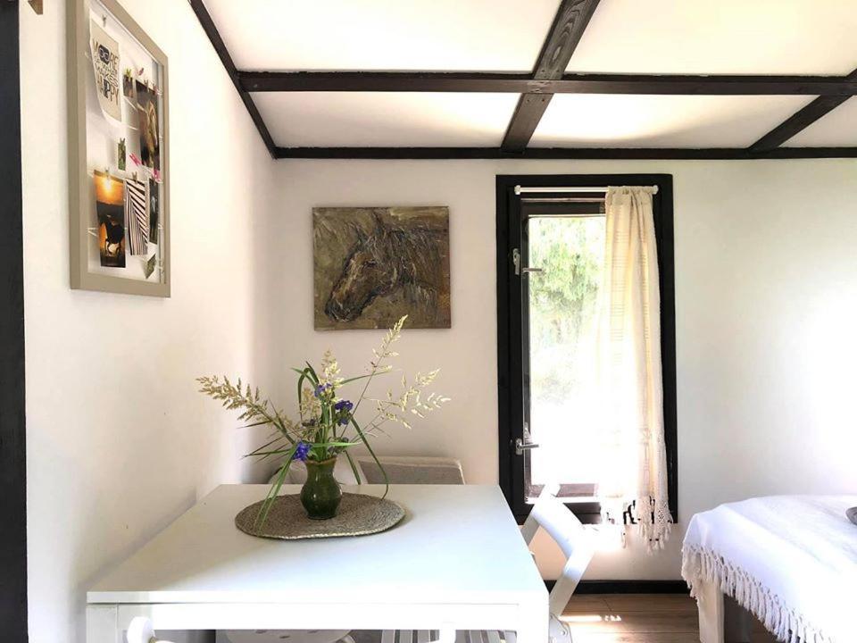Apartamenty Lajkonik Dąbrówno Extérieur photo