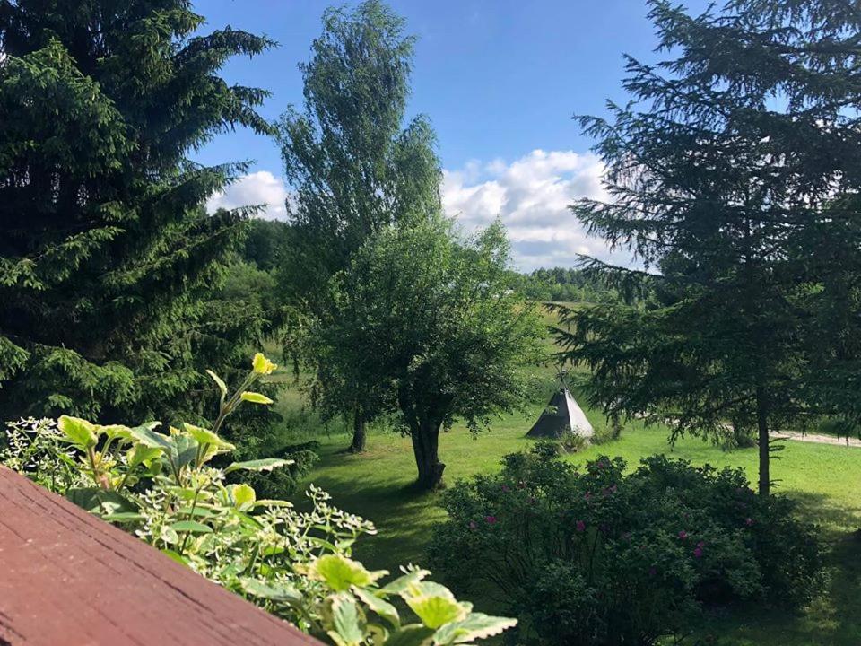 Apartamenty Lajkonik Dąbrówno Extérieur photo
