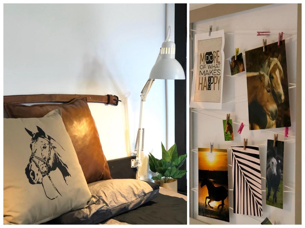 Apartamenty Lajkonik Dąbrówno Extérieur photo