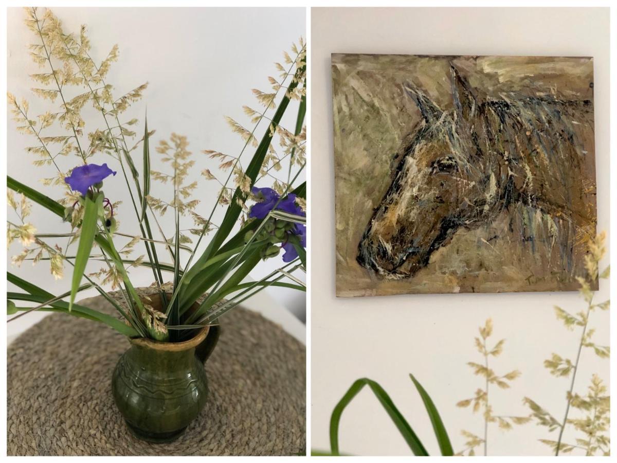 Apartamenty Lajkonik Dąbrówno Extérieur photo